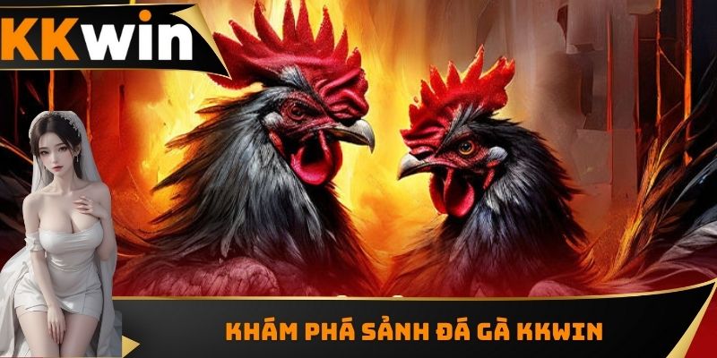 Khám phá sảnh đá gà KKWIN